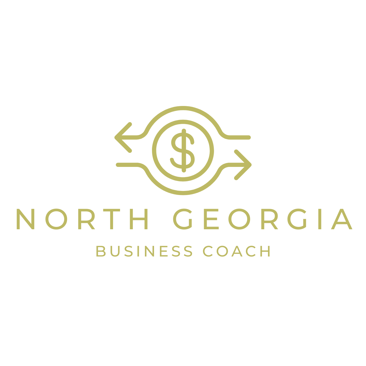 North Georgia Business Coach
